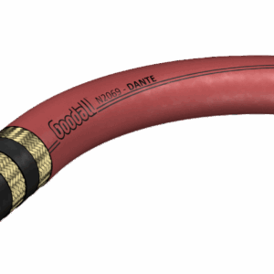 DANTE
